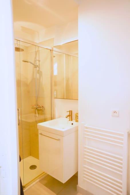 Le Petit Felix, A 2 Pas Du & Du Centre Appartement Annecy